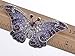 Alilang Empress Monarch Winged Butterfly Crystal Rhinestone Brooch Pin