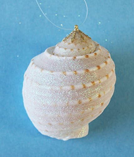 2-4" Glitter Spotted Tonna Shell Christmas Ornaments - Set of 4