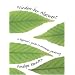 The Window-box Allotment: A Beginner's Guide to Container Gardening