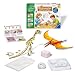 Ravensburger 18755 - Dinosaurier erforschen - WWW Wieso? Weshalb? Warum? Experimente