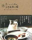 続 まこという名の不思議顔の猫