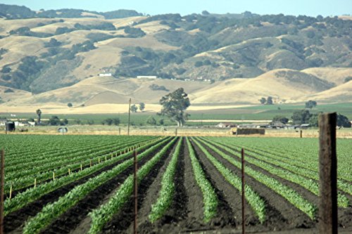 The Bond of the Covenant within the Bounds of the Confessions:: A Conversation Between the URCNA and CanRC