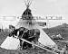 1916 Baby Moose In Horse Harness at Tipi Alaska [16 x 20 Photograph]