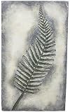 VCS Fern Fossil Wall Plaque 33.75 Inch x 20 Inch