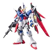 RG 1/144 ZGMF-X42S デスティニーガンダム (機動戦士ガンダムSEED DESTINY)