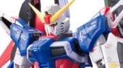 RG 1/144 ZGMF-X42S デスティニーガンダム (機動戦士ガンダムSEED DESTINY)