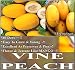 5 VINE PEACH Melons Seeds ~~TASTE JUST LIKE MANGO & GREAT FOR MAKING PIES ~!!