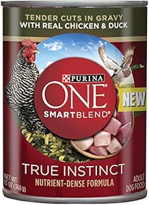 Purina ONE SmartBlend Wet Dog Food, Tender Cuts in Gravy with Real Chicken & Duck, 13-Ounce Can, Pack of 12