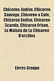 Chicore: Endive, Chicore Sauvage, Chicore Caf, Chicore Endive, Chicore Scarole, Chicore Frise, La Maison de La Chicore D'Orchie-