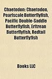 Chaetodon: Chaetodon, Pearlscale Butterflyfish, Pacific Double-Saddle Butterflyfish, Eritrean Butterflyfish, Redtail Butterflyfis-