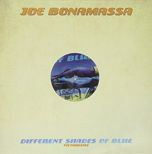 Album art for Different Shades of Blue by Joe Bonamassa