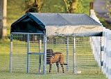 ShelterLogic Dog Kennel, 66- Inch Peak Height, Wall Dimensions 4ft x 8ft x 45 in