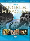 ABS Angels and Miracles: The Spiritual Realm and The World You Know