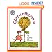 Chrysanthemum