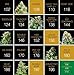 The Kitchen presented by Uptowngrowlab