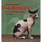 Books about Rex cats