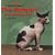 The Sphynx: The Hairless Cat (Kid's Cat Library)