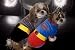 Search : Batman Dog Suit with Emblem Bling Small (For Dogs Weighing 5lbs-7lbs)