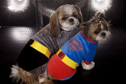  Batman Dog Suit with Emblem Bling Small (For Dogs Weighing 5lbs-7lbs)