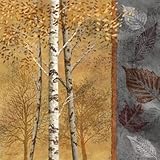 Birch Tree in Autumn II Beautiful MUSEUM WRAP CANVAS Print with Added BRUSHSTROKES Conrad Knutsen 20x20 Birch Tree in Autumn II Beautiful MUSEUM WRAP CANVAS Print with Added BRUSHSTROKES Conrad Knutsen 20x20