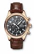 IWC Men's Pilot Chrono-Automatic Gold Watch #IW371713