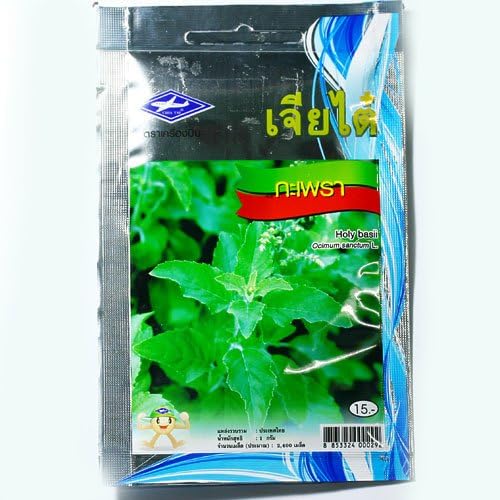 HOLY BASIL HERB FOR HEALTH VEGETABLES THAILAND 2,400 SEEDS 1 GRAM