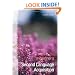Understanding Second Language Acquisition (Hodder Arnold Publication) (Understanding Language)