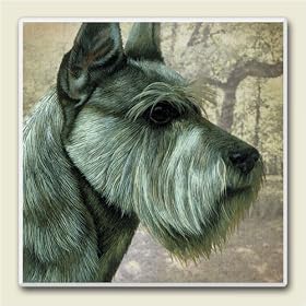 Click here to buy AbsorbaStone Coaster set~ Schnauzer ~4 Tile Drink Coasters ~ code 841C by Artworks Home Accents.