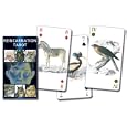 Tarot of Reincarnation (English and Spanish Edition) by Lo Scarabeo