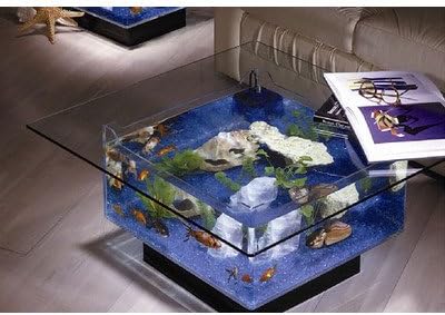 25 Gallon Aqua Coffee Table Aquarium Tank