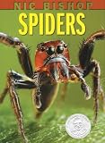 Nic Bishop Spiders (Sibert Honor Book)
