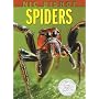 Nic Bishop Spiders (Sibert Honor Book)