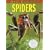 Nic Bishop Spiders (Sibert Honor Book)