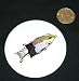 3 button / pin printed with wrasse, water, banner, fish