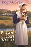 Beyond Hope's Valley: A Big Sky Novel