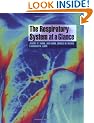 The Respiratory System at a Glance