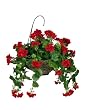 Artificial Red Geranium Hanging Basket