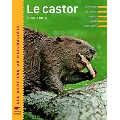 Le castor
