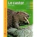 Le castor