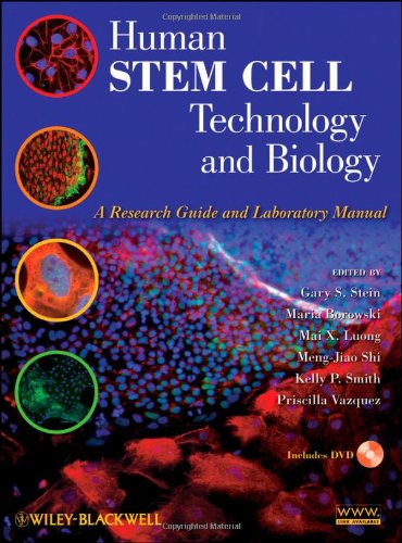 stem cells