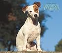 Jack Russell Terriers, For the Love of 2008 Deluxe Wall Calendar (Multilingual Edition)