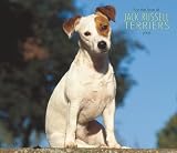 For the Love of Jack Russell Terriers 2008 Calendar