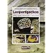 Leopardgeckos: Pflege, Zucht, Erkrankungen, Farbvarianten