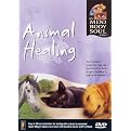 Margrit Coates with Perry Wood: Animal Healing (The Mind Body Soul Series)