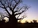 Boab Tree and Gravel Road, Kimberley, Western Australia, Australia, Pacific Photographic Poster Print by Jochen Schlenker, 12x9