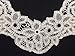 2 Pieces, Pretty Neckline Applique Floral, Swirl, and Dot Venise Lace, White, 6.5
