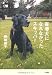 盲導犬になれなかったスキッパー