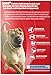 Iams Proactive Health Adult Biscuits Lamb Meal And Rice 24 Ounces (Pack Of 6)