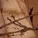 Life Cried-Banished Psalms