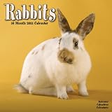 Rabbits 2011 Wall Calendar #30129-11